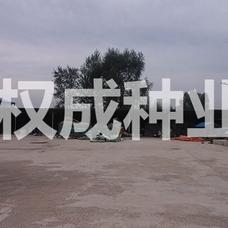廠房環境