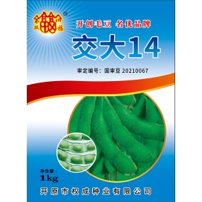 云南國審-交大14